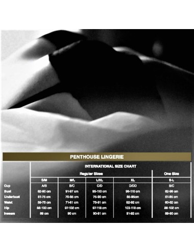 PENTHOUSE - PURE INSTINCTS TANGA L/XL