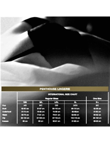 PENTHOUSE - CLASSIFIED TANGA PRETO L/XL