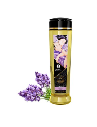 SHUNGA - ÓLEO DE MASSAGEM ERÓTICA SENSATION 240 ML