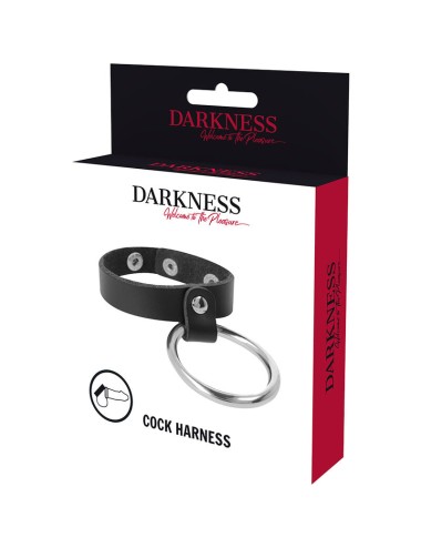 DARKNESS - ANEL DE METAL PARA PÊNIS E TESTÍCULOS