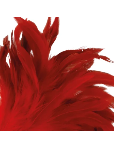 DARKNESS RED FEATHER 24cm