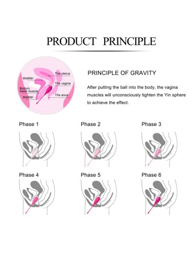 LESLIE - KEGEL FIT PELVIC MUSCLE TRAINING CONJUNTO 6 PCS