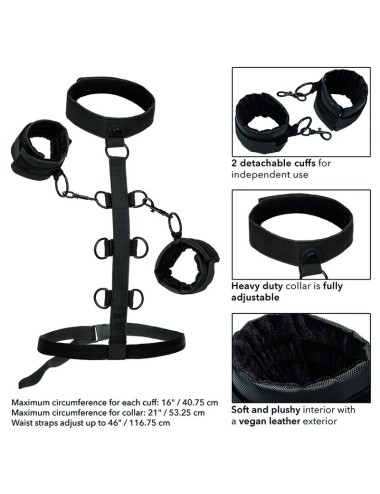CALEXOTICS - BOUNDLESS RETENO CORPORAL DE COLAR