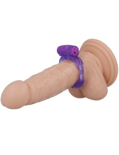 CASUAL LOVE - ANEL 32 LILAC