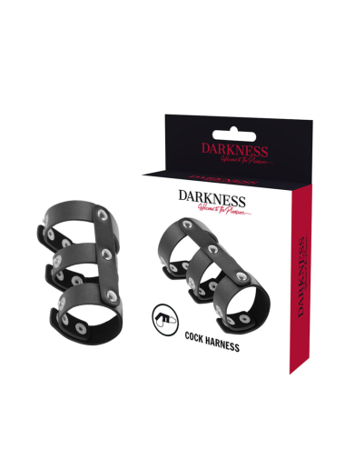 DARKNESS - ANEL DUPLO DE PÊNIS E TESTÍCULOS DE COURO AJUSTVEL