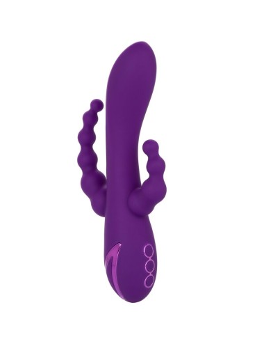CALEXOTICS - LONG BEACH BOOTYLICIOUS ROXO