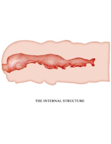 CRAZY BULL - MASTURBADOR VAGINA ISABEL 13.5 CM