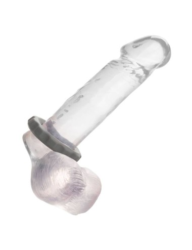 CALEXOTICS - ANEL ALPHA ERECT CINZA