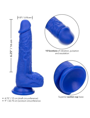 CALEXOTICS - ADMIRAL SAILOR REALISTIC DILDO VIBRADOR AZUL