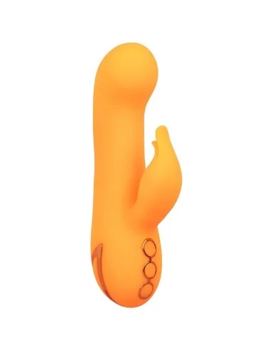 CALEXOTICS - MONTECITO MUSE VIBRADOR COELHO LARANJA POR CALIFORNIA DREAMING
