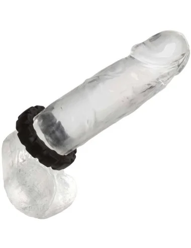 CALEXOTICS - ALPHA ANEL DE PISTA PROLONG PRETO