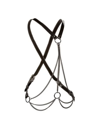 CALEXOTICS - EUPHORIA MULTICANTES HARNESS PREMIUM TAMANHO PLUS