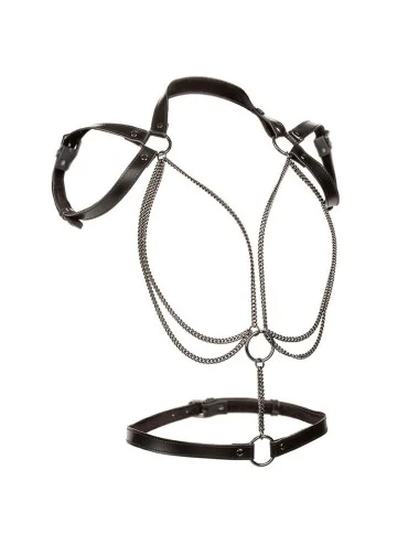 CALEXOTICS - EUPHORIA ARREIO DE CABIDE MULTICANTES PREMIUM