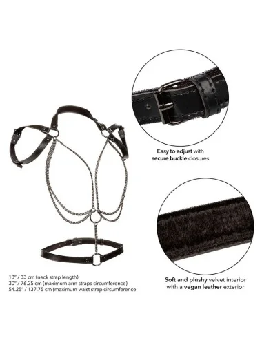 CALEXOTICS - EUPHORIA MULTICAIN HALTER HARNESS PREMIUM TAMANHO PLUS