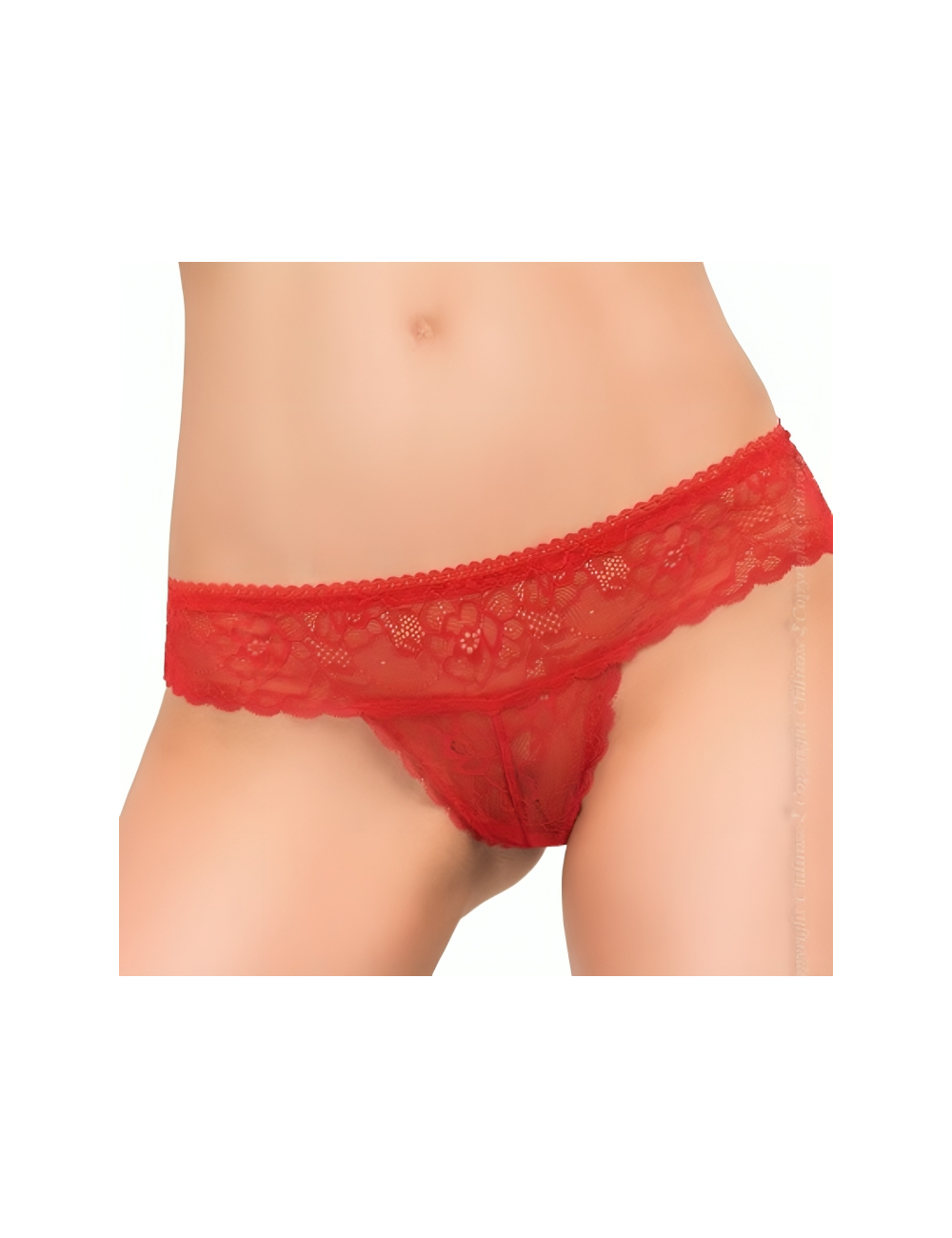 CHILIROSE - CR 3853 CALA VERMELHA S/M CHILIROSE - CR 3853 CALA VERMELHA S/M