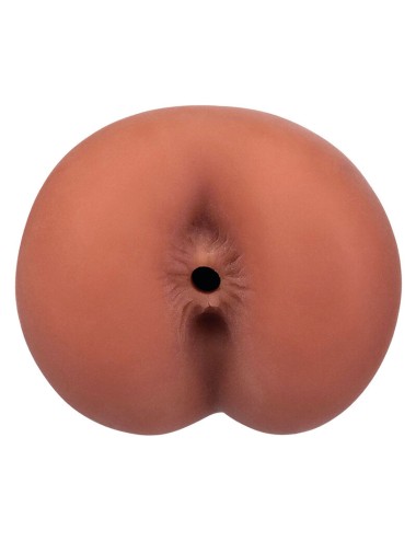 CALEXOTICS - BOUNDLESS NUS BROWM