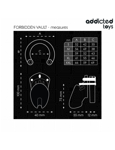 ADDICTED TOYS LOCKED - GAIOLA PARA PÊNIS FORBIDDEN VAULT 10 CM
