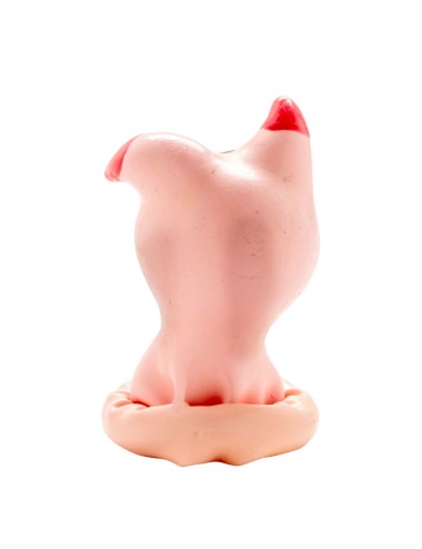 CONDOMERIE - PRESERVATIVOS NOVIDADES PINTADOS À MÃO CABEÇA DE PORCO