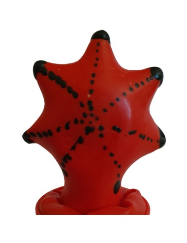 CONDOMERIE - PRESERVATIVOS NOVIDADES PINTADOS À MÃO ESTRELA DO MAR