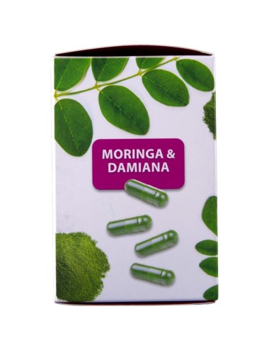 HOT - MORINGA BONÉS DE FEMININOS 60 UNIDADES