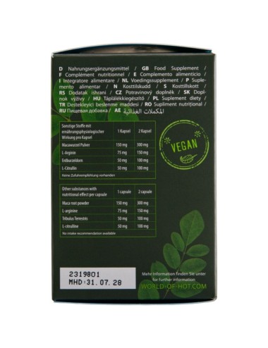 HOT - MORINGA BONÉS PARA HOMENS 60 UNIDADES