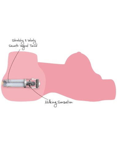 DESEJO OCULTO - TORSO DE CADELA ORDENHEIRA SAFADA, MASTURBADORA FEMININA, 10 KG